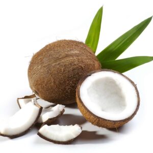 Sciroppo Cocco ODK Orsa Drink