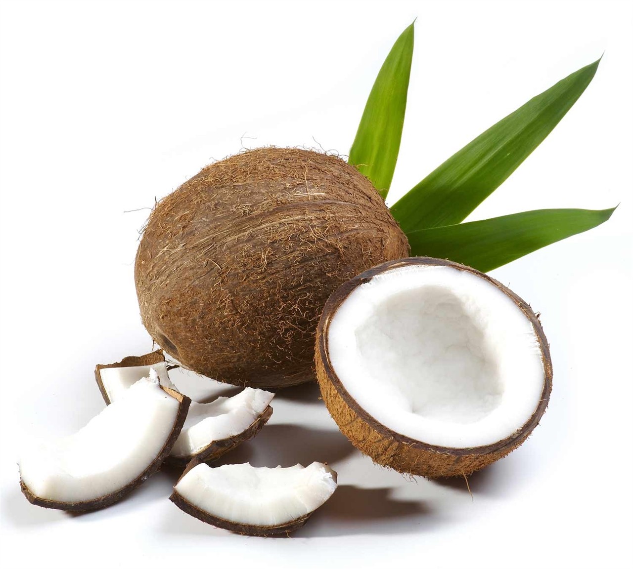 Sciroppo Cocco ODK Orsa Drink