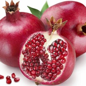 Sciroppo Granatina ODK Orsa Drink