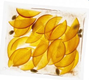 Sacchetti per Sottovuoto (Confezione 200pz)