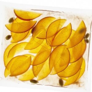 Sacchetti per Sottovuoto (Confezione 200pz)